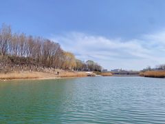 -大兴滨河森林公园