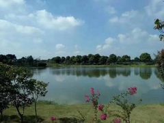 -上膳源有机蔬菜(三泉路店)