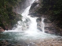 -九龙江国家森林公园