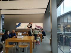 -Apple零售店(成都太古里店)