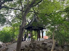 -西园戒幢律寺