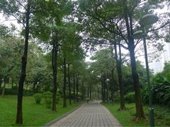 iphone_upload_pic-广州珠江公园