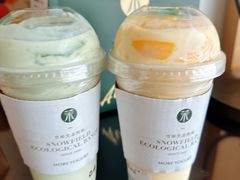 -茉酸奶(春熙路店)
