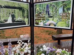 -黄海国家森林公园