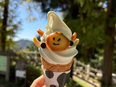 -神户市立六甲山牧场