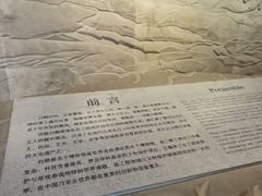 -白鹤梁水下博物馆