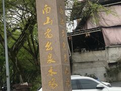 -老幺泉水鸡
