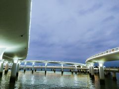 -演武大桥观景平台