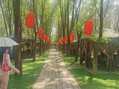 -草根堂农场