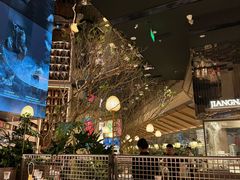 -桂满陇·海市蜃楼·黑金(国金店)