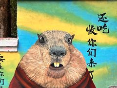 -黄桷坪涂鸦艺术街