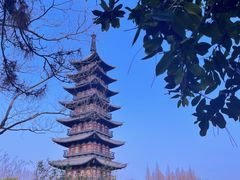 -上海方塔园