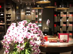 -王德传茶庄(上海新天地店)