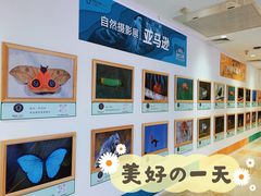 -北京华联购物中心(同成街店)
