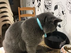 -小时光咖啡馆(开森度假森林店)