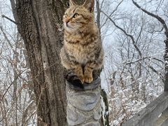 -终南山南五台景区