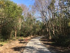 -上海海湾国家森林公园