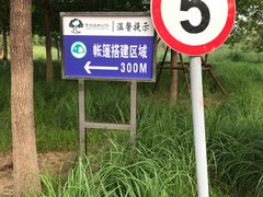 -东郊湿地公园