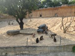 -泉州海丝野生动物世界