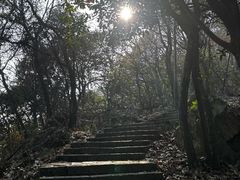 -杭州半山国家森林公园