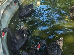 -宝晶宫旅游景区