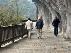 -重庆武隆天生三桥风景区-神鹰天坑