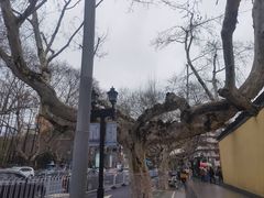 -长江路历史文化街区