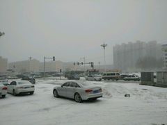 -桃源新村双台子店