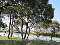 -嘉北郊野公园