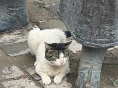 -鸡鸣驿城