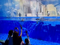 -石家庄市动物园