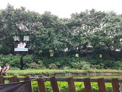 -广州长隆飞鸟乐园