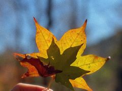 -玉渡山自然风景区