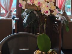 -翡翠鸟精品泰国菜(北辰财富中心店)