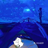 今晚睡在海世界的帐篷里，监督鲨鱼睡觉！