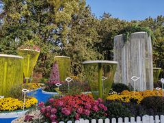 -上海共青森林公园