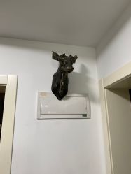 -组合纹身穿孔纹眉TATTOO