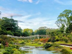 -东莞植物园