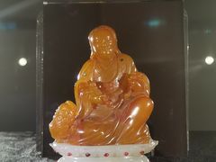-【朵云轩艺术中心】博洛尼亚插画展·中国巡展·上海站