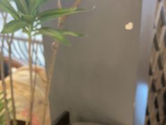-必胜客(砂之船中东奥莱店)