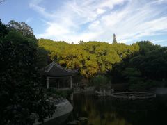 -叶家花园
