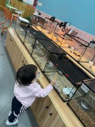 -Moni星球萌宠·小马宝莉·灵蛇·高端高阶全萌宠互动体验俱乐部(红豆国际广场店)