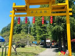 -渌洋湖湿地公园
