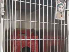 -瑞派康怡24h宠物医院·犬猫医疗中心·微创绝育(瑞景分院)