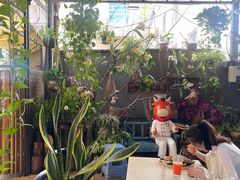 -啰啰冰屋(景洪总店)