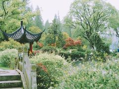 -杭州西湖柳莺里酒店