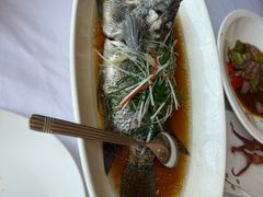 -骏莱海鲜鱼港(五角场店)