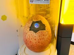 -正佳自然科学博物馆