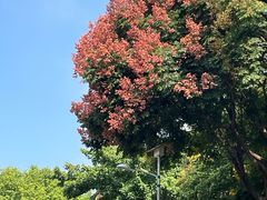 -仙岳公园
