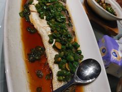 -沪碟·精菜坊(闵行店)